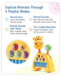 Babyhug Musical Light & Sound Giraffe Piano with 5 Modes of Animal Sound (Colour May Vary)| Soothing Melodies| Interactive Modes| Spinning Wheel| Ideal Gifting Option