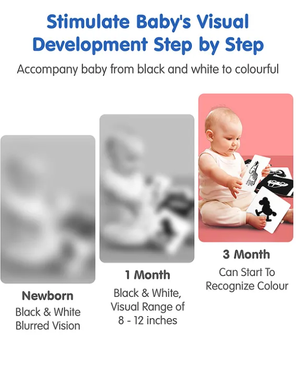 Intellibaby Large High Contrast Premium B&W Flash Cards|40 B&W Visuals|Non Toxic|Anti Glare|Tummy Time Play|Visual Stimulation|Paediatrician Approved